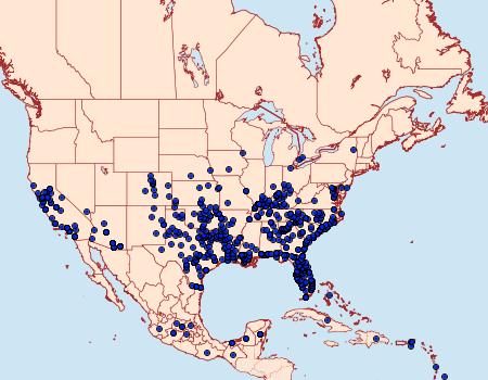 Distribution Data for Dione incarnata