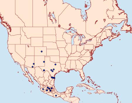 Distribution Data for Dione moneta