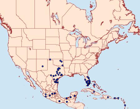 Distribution Data for Dryas iulia