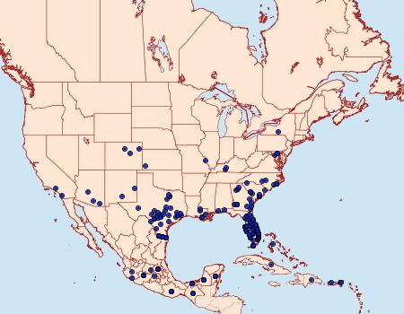 Distribution Data for Heliconius charithonia