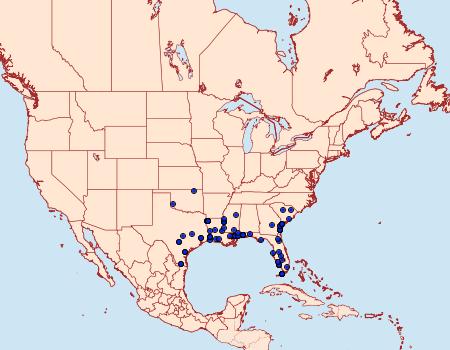 Distribution Data for Cryptothelea gloverii