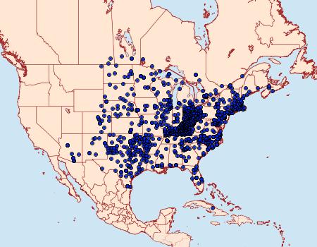 Distribution Data for Polygonia interrogationis