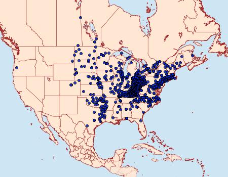 Distribution Data for Polygonia comma