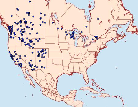 Distribution Data for Polygonia satyrus