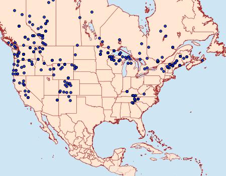 Distribution Data for Polygonia faunus