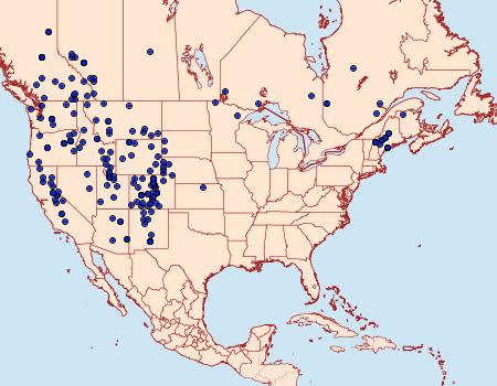 Distribution Data for Polygonia gracilis