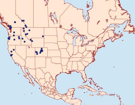 Distribution Data for Polygonia oreas