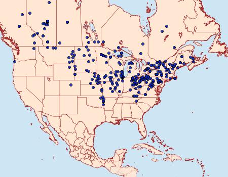 Distribution Data for Polygonia progne