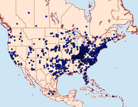 Distribution Data for Vanessa virginiensis