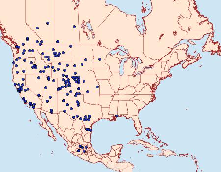 Distribution Data for Vanessa annabella