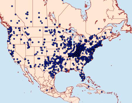 Distribution Data for Vanessa atalanta