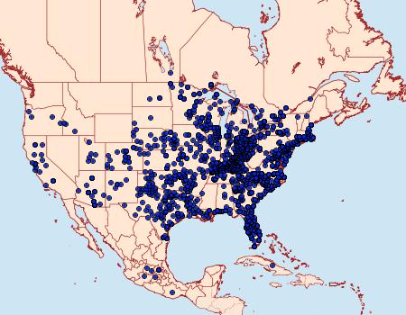 Distribution Data for Junonia coenia