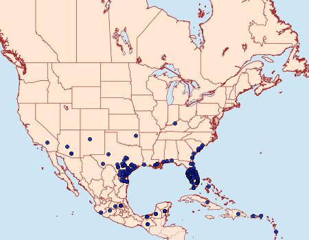 Distribution Data for Anartia jatrophae