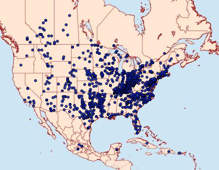 Distribution Data for Euptoieta claudia