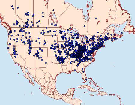 Distribution Data for Argynnis cybele