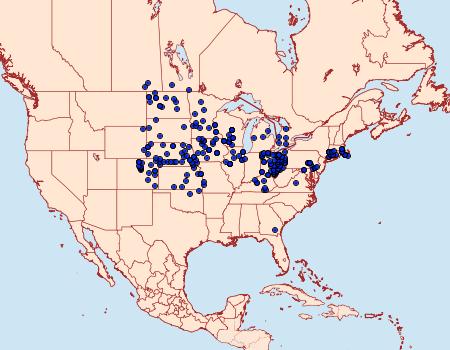 Distribution Data for Argynnis idalia