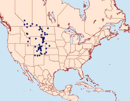 Distribution Data for Argynnis edwardsii