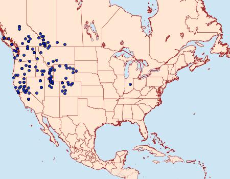 Distribution Data for Argynnis zerene