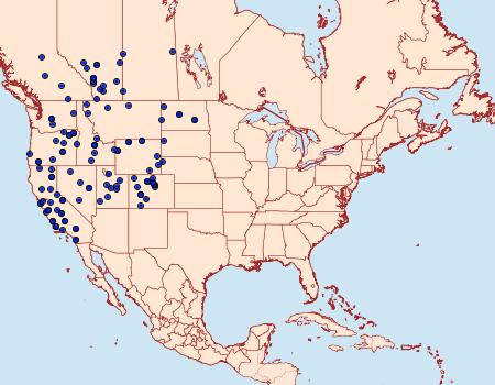 Distribution Data for Argynnis callippe