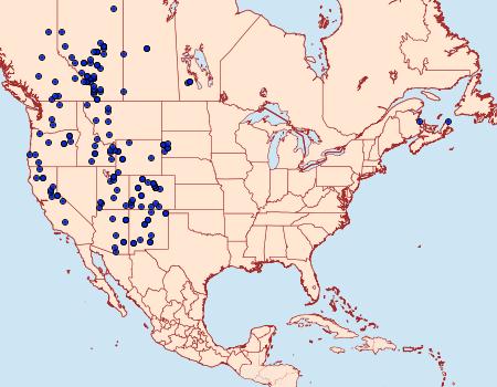 Distribution Data for Argynnis hesperis