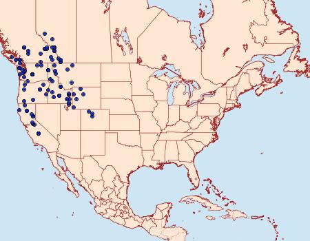 Distribution Data for Argynnis hydaspe