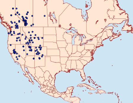 Distribution Data for Argynnis mormonia