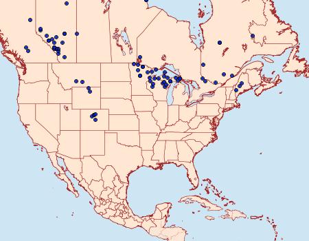 Distribution Data for Boloria eunomia