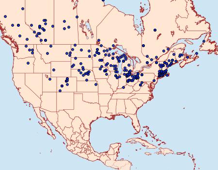 Distribution Data for Boloria myrina