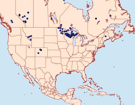 Distribution Data for Boloria frigga