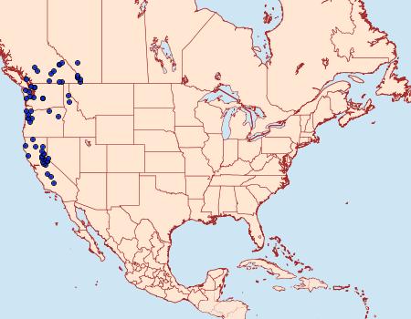 Distribution Data for Boloria epithore