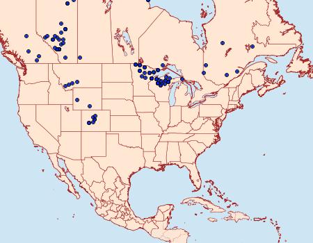 Distribution Data for Boloria freija