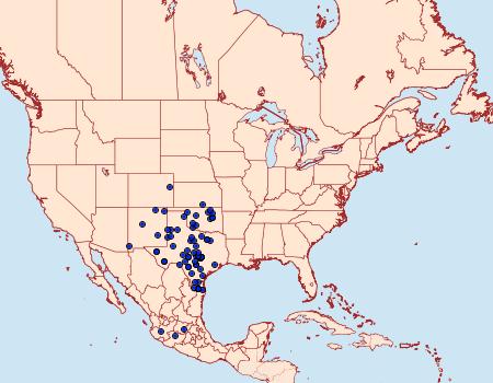 Distribution Data for Phyciodes graphica