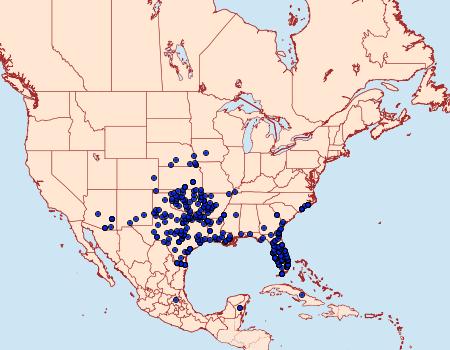 Distribution Data for Phyciodes phaon