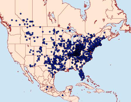 Distribution Data for Phyciodes tharos