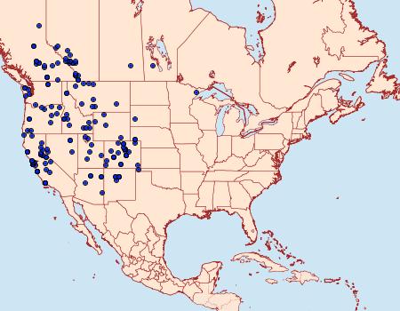 Distribution Data for Phyciodes pulchella