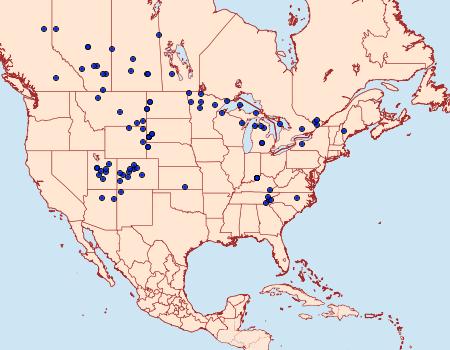 Distribution Data for Phyciodes batesii