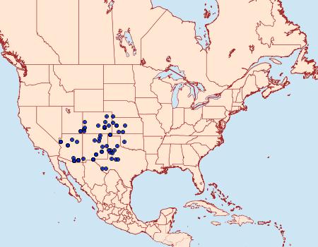 Distribution Data for Phyciodes picta