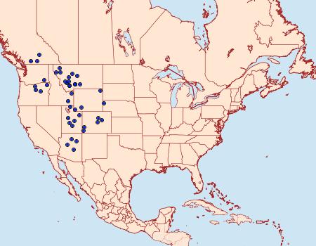 Distribution Data for Phyciodes pallida