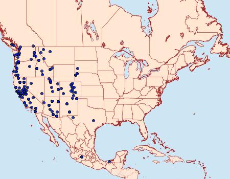 Distribution Data for Phyciodes mylitta