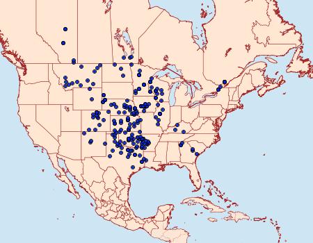 Distribution Data for Chlosyne gorgone