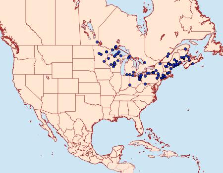 Distribution Data for Chlosyne harrisii