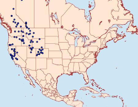 Distribution Data for Chlosyne palla