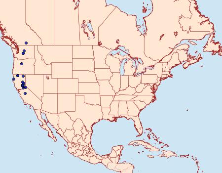 Distribution Data for Chlosyne hoffmanni