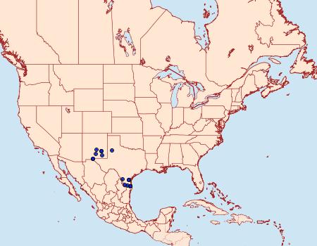 Distribution Data for Chlosyne definita