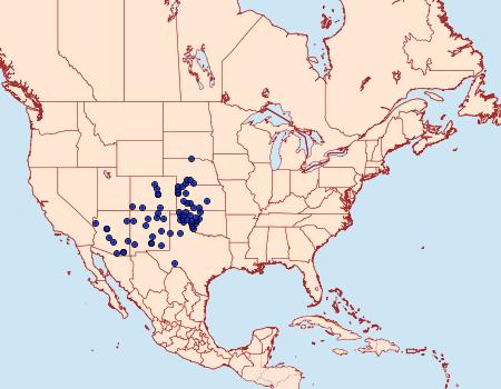 Distribution Data for Chlosyne fulvia