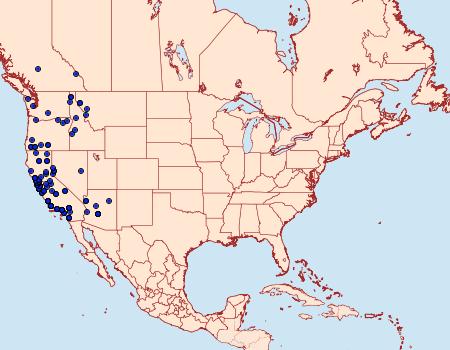 Distribution Data for Euphydryas chalcedona