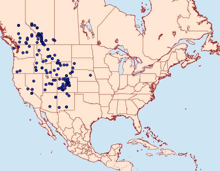 Distribution Data for Euphydryas anicia