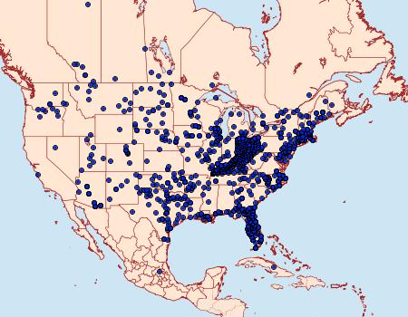 Distribution Data for Limenitis archippus