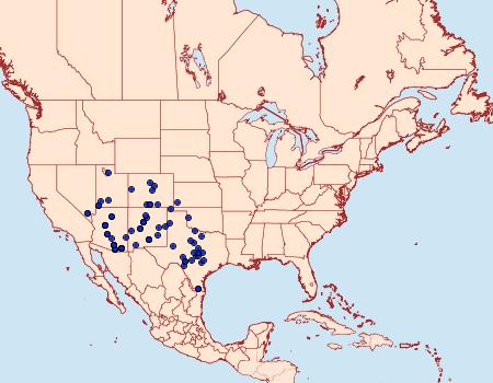 Distribution Data for Adelpha eulalia