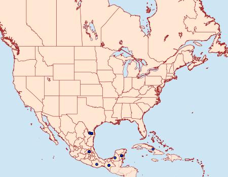 Distribution Data for Dynamine postverta